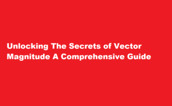 How to know magnitude of a vector