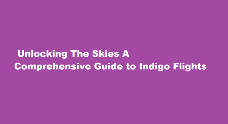 How to know more about indigo flights
