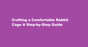 Crafting a Comfortable Rabbit Cage A Step-by-Step Guide