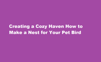 How to make a nest for your pet bird