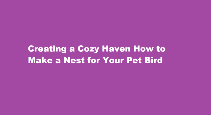 How to make a nest for your pet bird