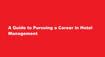 A Guide to Pursuing a Career in Hotel Management