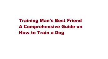 Training Man’s Best Friend A Comprehensive Guide on How to Train a Dog