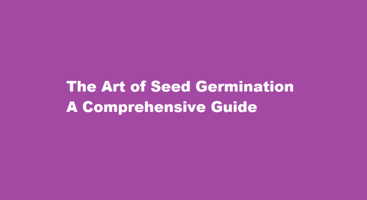 how to germinate seeds