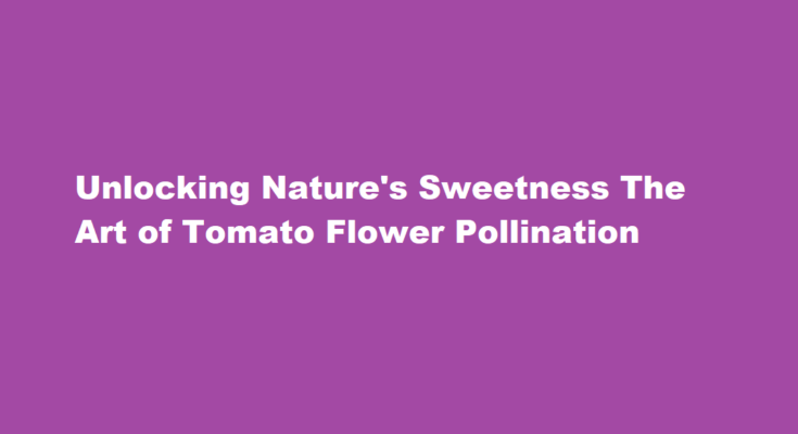 how to pollinate tomato flowers