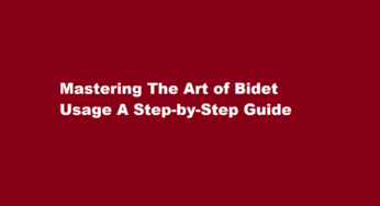 Mastering The Art of Bidet Usage A Step-by-Step Guide