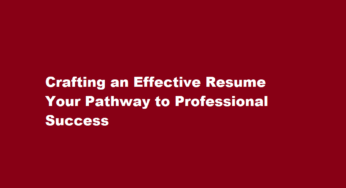Crafting an Effective Resume Your Pathway to Professional Success