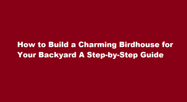 How to build a birdhouse for your backyard