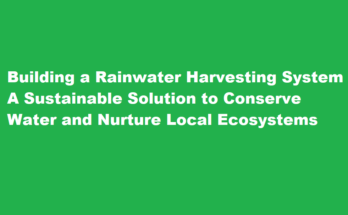 How to build a rainwater harvesting system to conserve water and support local ecosystems