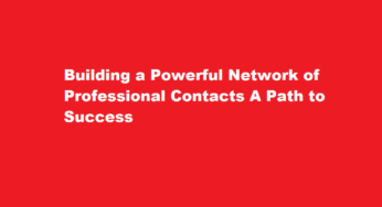 Building a Powerful Network of Professional Contacts A Path to Success