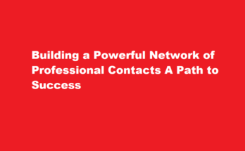 How to build a strong network of professional contacts