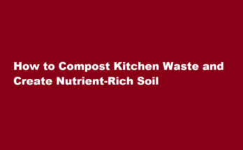 How to compost kitchen waste and create nutrient-rich soil