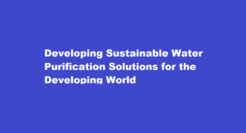 Developing Sustainable Water Purification Solutions for the Developing World