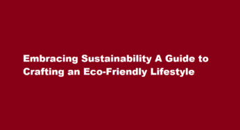 Embracing Sustainability A Guide to Crafting an Eco-Friendly Lifestyle