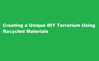 How to create a unique DIY terrarium using recycled materials