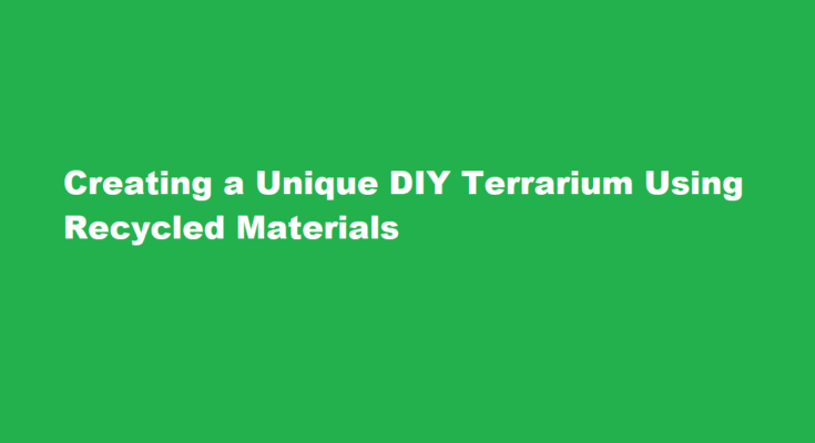 How to create a unique DIY terrarium using recycled materials