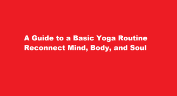 A Guide to a Basic Yoga Routine Reconnect Mind, Body, and Soul