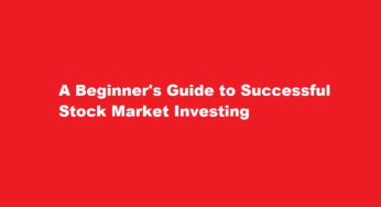 A Beginner’s Guide to Successful Stock Market Investing
