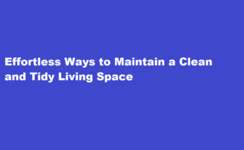 How to keep your living space clean and tidy with minimal effort