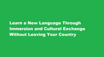 Learn a New Language Through Immersion and Cultural Exchange Without Leaving Your Country