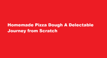 Homemade Pizza Dough A Delectable Journey from Scratch