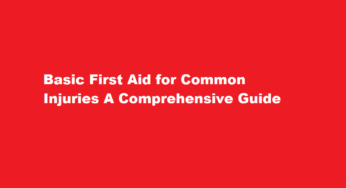 Basic First Aid for Common Injuries A Comprehensive Guide