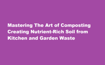 How to properly compost kitchen and garden waste to create nutrient-rich soil