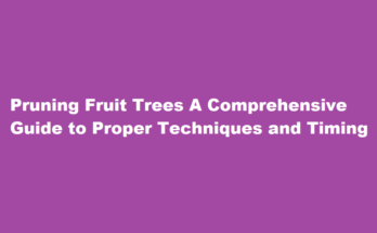 How to properly prune a fruit tree