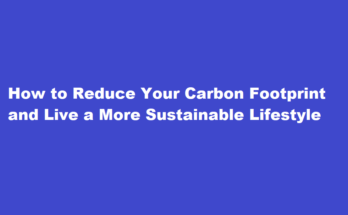 How to reduce your carbon footprint and live a more sustainable lifestyle