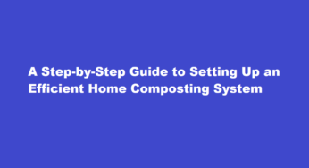 A Step-by-Step Guide to Setting Up an Efficient Home Composting System