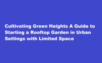 How to start a rooftop garden in an urban setting with limited space