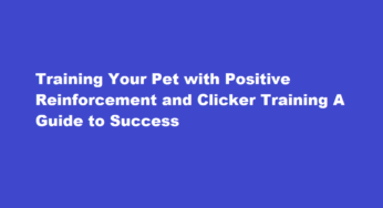 Training Your Pet with Positive Reinforcement and Clicker Training A Guide to Success