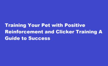How to train a pet to perform specific tasks