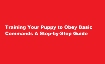 How to train a puppy to obey basic commands