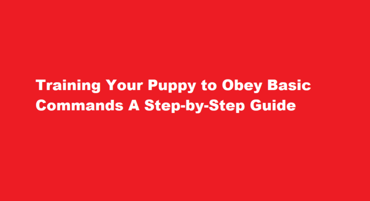 How to train a puppy to obey basic commands