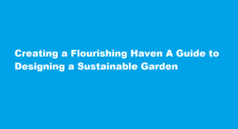 Creating a Flourishing Haven A Guide to Designing a Sustainable Garden