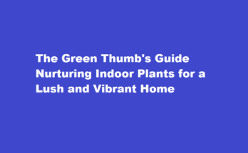 how to take care of indoor plants