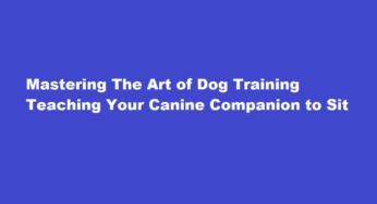Mastering The Art of Dog Training Teaching Your Canine Companion to Sit