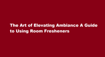 The Art of Elevating Ambiance A Guide to Using Room Fresheners