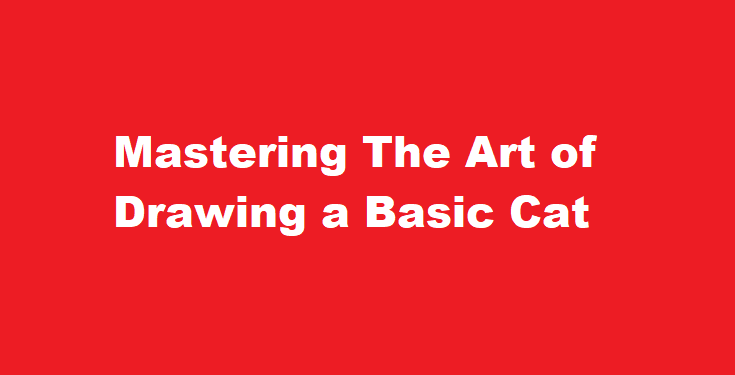 How to draw a basic cat