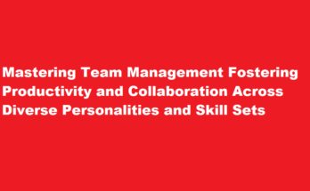 How to effectively manage a team of diverse personalities and skill sets to ensure high productivity