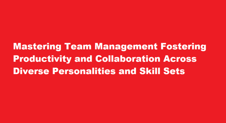 How to effectively manage a team of diverse personalities and skill sets to ensure high productivity