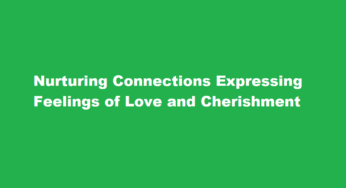 Nurturing Connections Expressing Feelings of Love and Cherishment