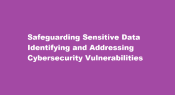 Safeguarding Sensitive Data Identifying and Addressing Cybersecurity Vulnerabilities