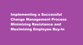 Implementing a Successful Change Management Process Minimizing Resistance and Maximizing Employee Buy-In