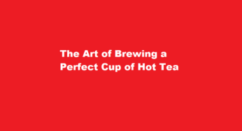 The Art of Brewing a Perfect Cup of Hot Tea