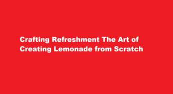 Crafting Refreshment The Art of Creating Lemonade from Scratch