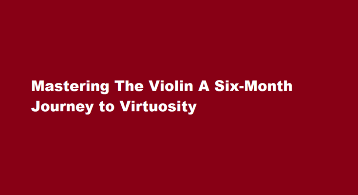 How to master playing the violin like a virtuoso in six months