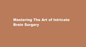 Mastering The Art of Intricate Brain Surgery