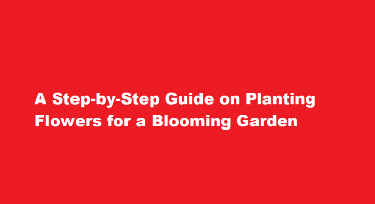 How to plant a flower